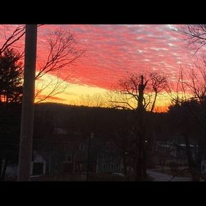 Meet your Posher, Marissa